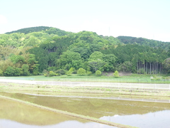 ～田園風景～