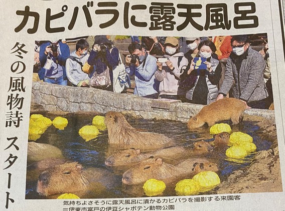 ♨カピバラの露天風呂♨