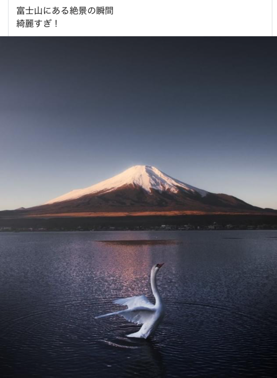 △富士山と白鳥△