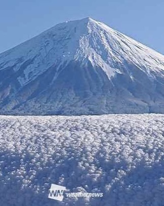 ❄雪化粧❄