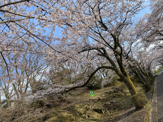 ❀イトーピア売地❀