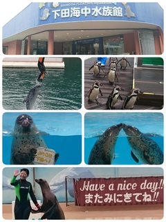 ・・下田海中水族館・・