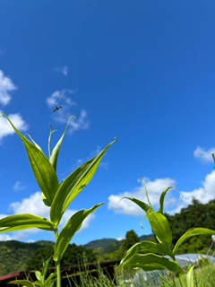 熱中症にご注意ください‼