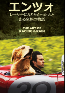 犬好き＆車好きに観てほしい映画