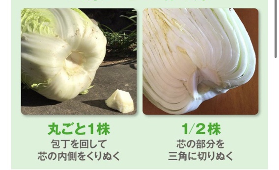 白菜の保存方法