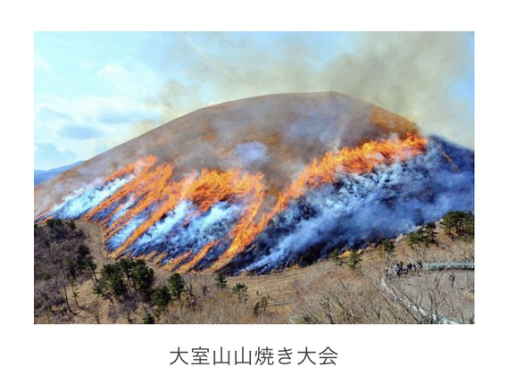 大室山山焼き大会