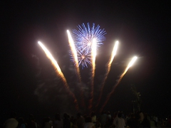 伊東の夏は花火満開！