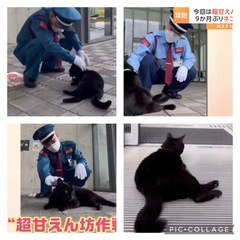 =^_^=警備員さんVSケンちゃん=^_^=