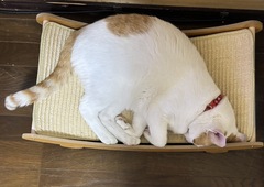 ~サイズアップ~