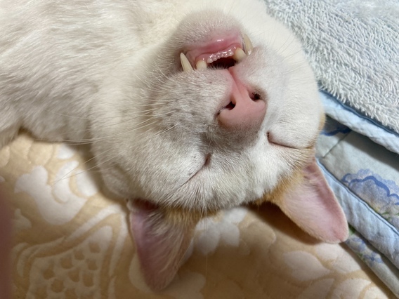 ～平穏な日々へ～