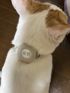 (=^・^=)春男です(=^・^=)