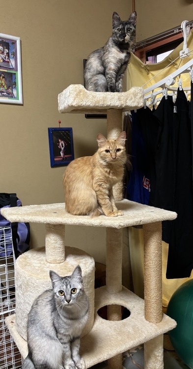 ～お役に立てたようで～