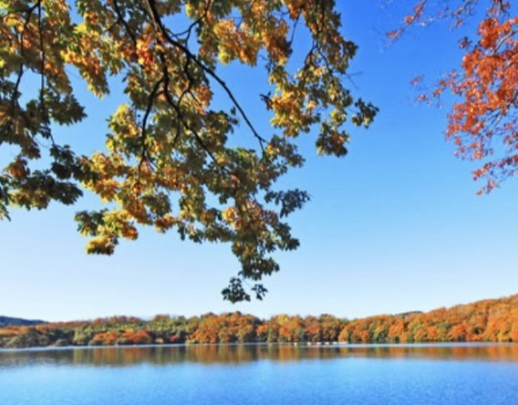 ～紅葉が待ち遠しい～