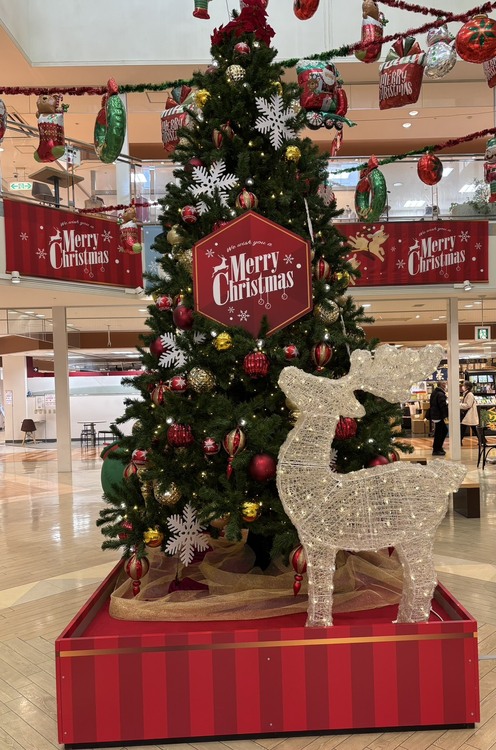 (=^・^=)今年最後の春男投稿(=^・^=)