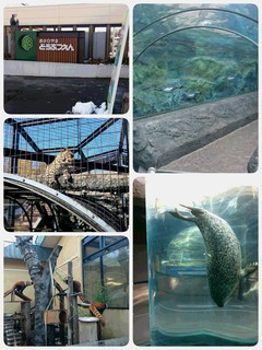 ♪北海道旅行　旭山動物園～