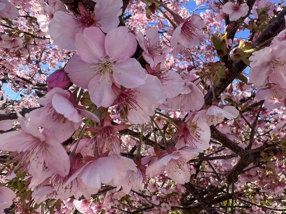 ☀ぽかぽか陽気☀