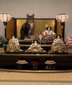 (=^・^=)ひな祭り(=^・^=)