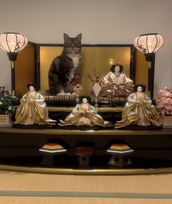 (=^・^=)ひな祭り(=^・^=)