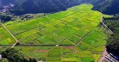 ～～池　里山～～