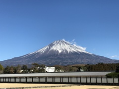 ~~富士山~~