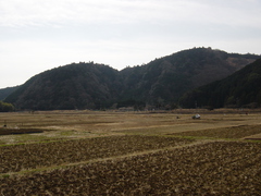 雨水