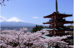 ～～富士山比べ～～