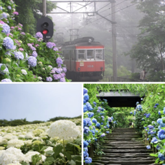 ～梅雨を楽しもう～