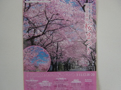 桜イベント