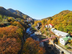 ～北海道の紅葉～