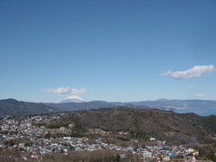 川奈より　富士山と伊東港