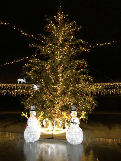 ~伊東温泉 シャイニークリスマス in 藤の広場~2