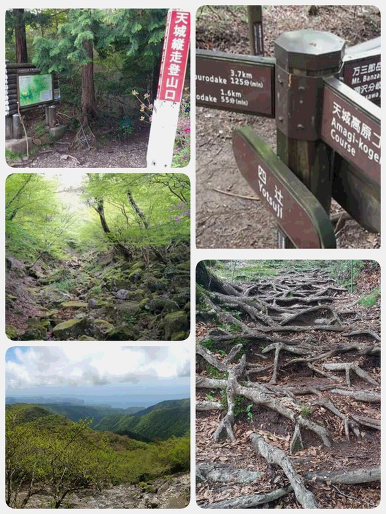 △天城山　万二郎岳→万三郎岳