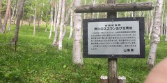 すずらんの里祭り 【笛吹市・芦川町】