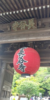 「長谷寺」のあじさい