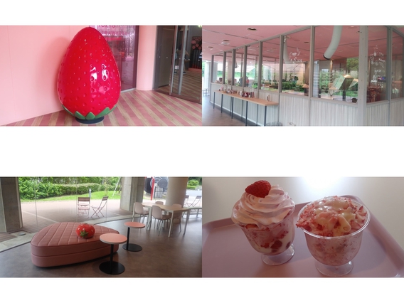 ♪TOKYO STRAWBERRY PARK ♪