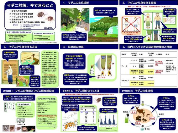 マダニに注意‼