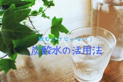 ☀炭酸水の活用術☀