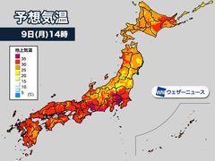 ☂台風15号☂の爪痕