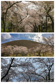 ❀伊豆高原・イトーピア❀