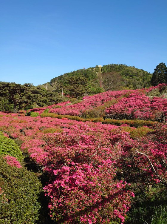 ❁小室山❁