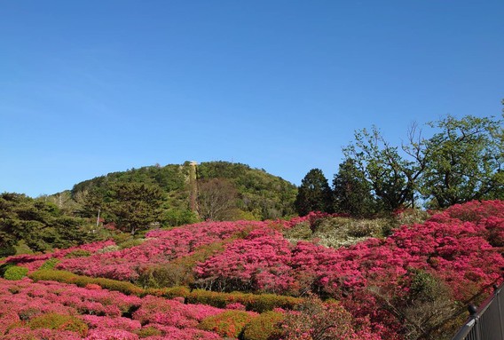 ❁小室山❁