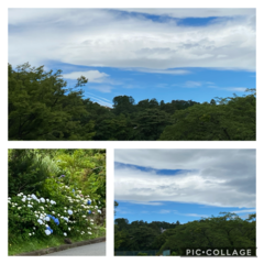 ~夏日の梅雨前日~